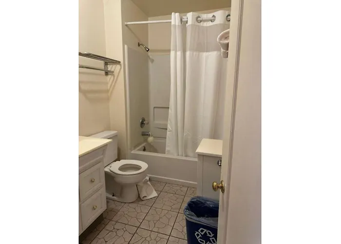 Hotel Del Rio O Near Downtown 2*
